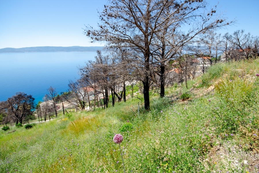 Terreno edificabile con vista panoramica sul mare in Croazia