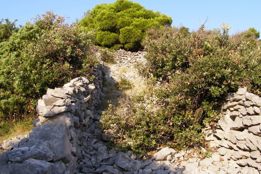 Posizione immersa nella natura con vista mare vicino a Rogoznica