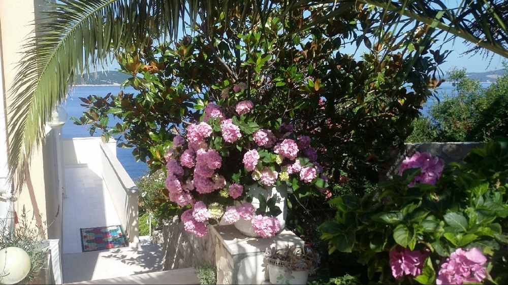 Giardino mediterraneo con fiori in fiore e vista mare
