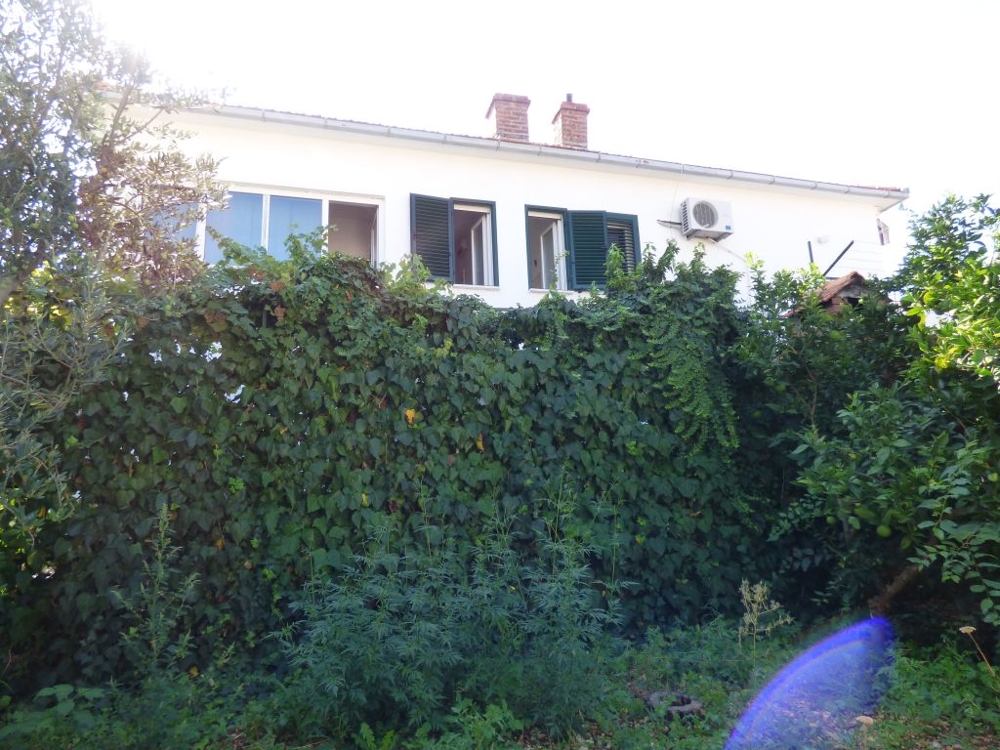 Retro della casa dietro una siepe fitta