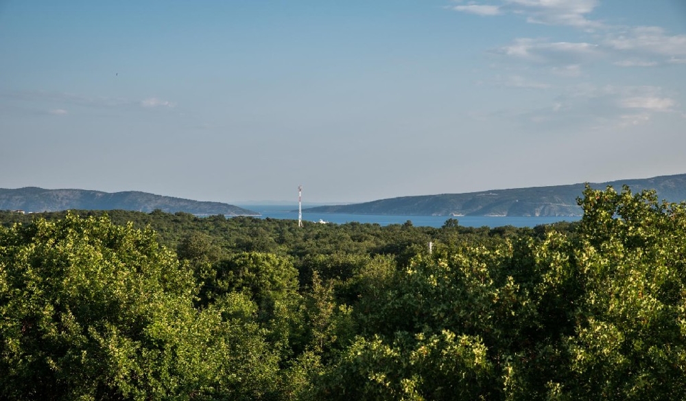 Chiome degli alberi con vista sullo stretto e sul pennone