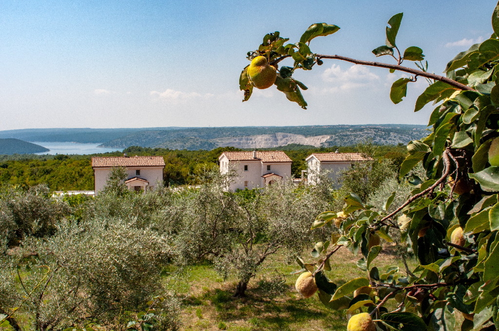 Case in pietra con vista mare in Istria, Croazia, in vendita - Panorama Scouting GmbH.