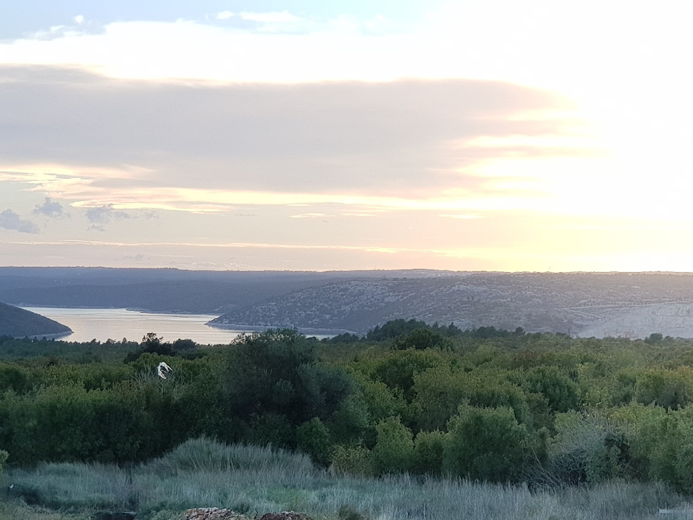 Vista sul paesaggio verde con vista mare.