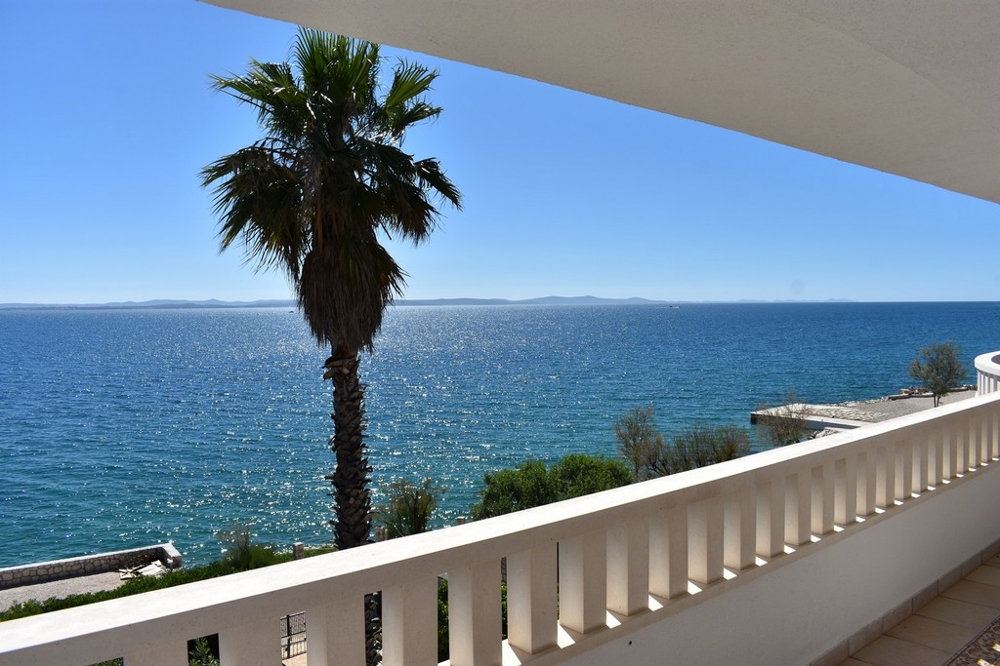 Palma davanti al balcone con balaustra sopra il mare