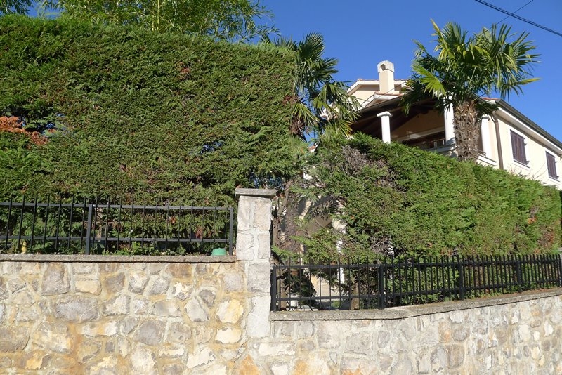 Villa mediterranea circondata da un giardino verde con palme e vegetazione mediterranea.