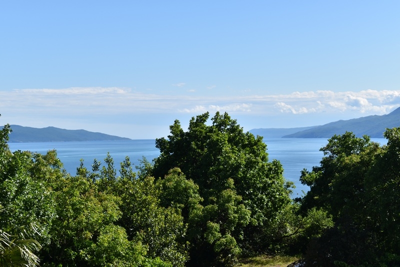 Chiome degli alberi con vista sulla baia e sulla catena di isole