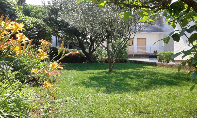 Giardino dell'immobile H1816 vicino a Zadar in Croazia - immobili Panorama Scouting.