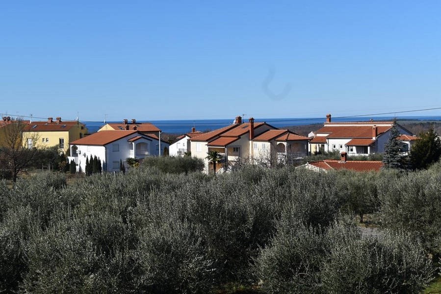 Vista sull'uliveto, sulle case e sul mare