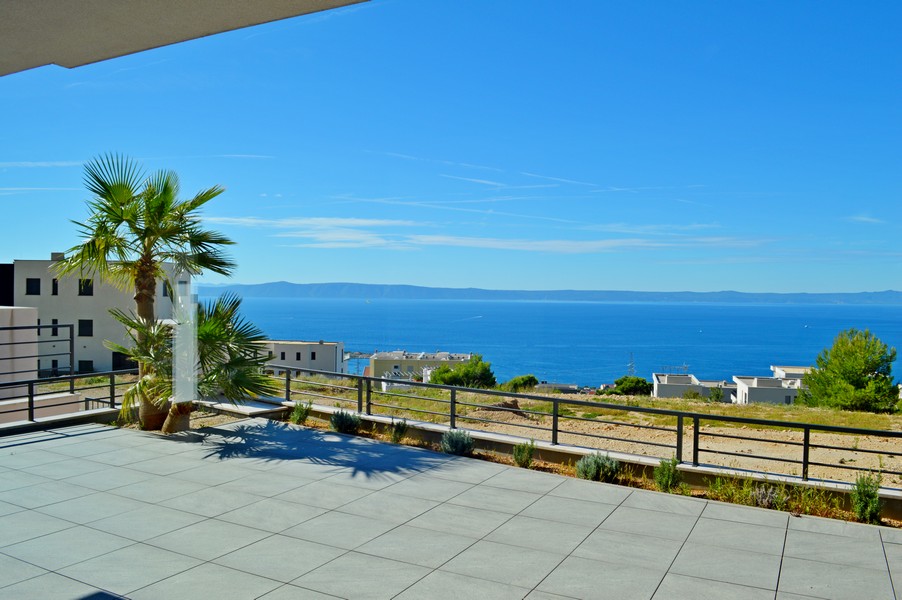 Grande terrazza con palma e ampia vista sul mare