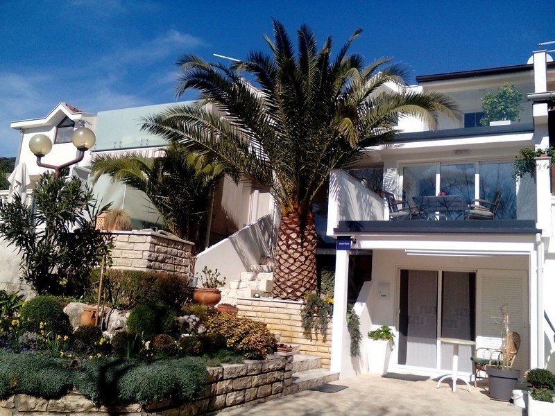 Casa a schiera con grande palma e loggia chiusa con vetri