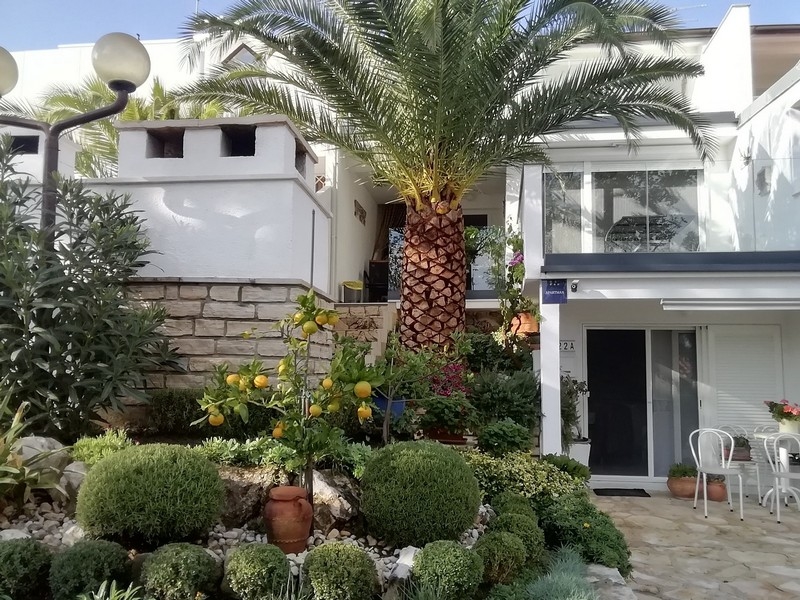 Giardino anteriore con palma e agrumi davanti all'ingresso