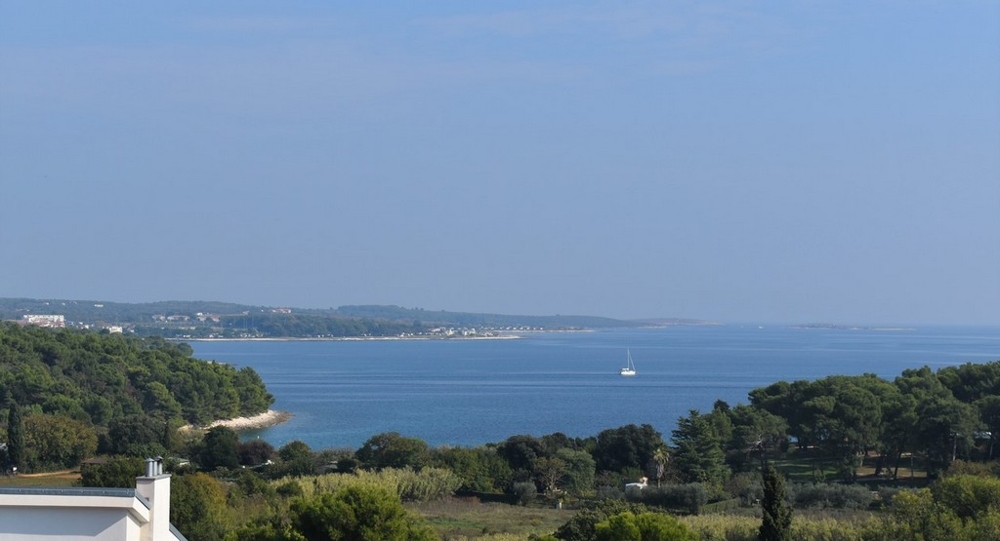 Vista sui pini e sulla baia fino al mare aperto