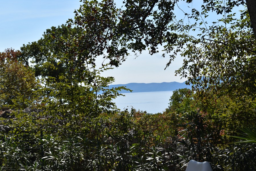 Vista tra gli alberi sull'acqua e sulla costa