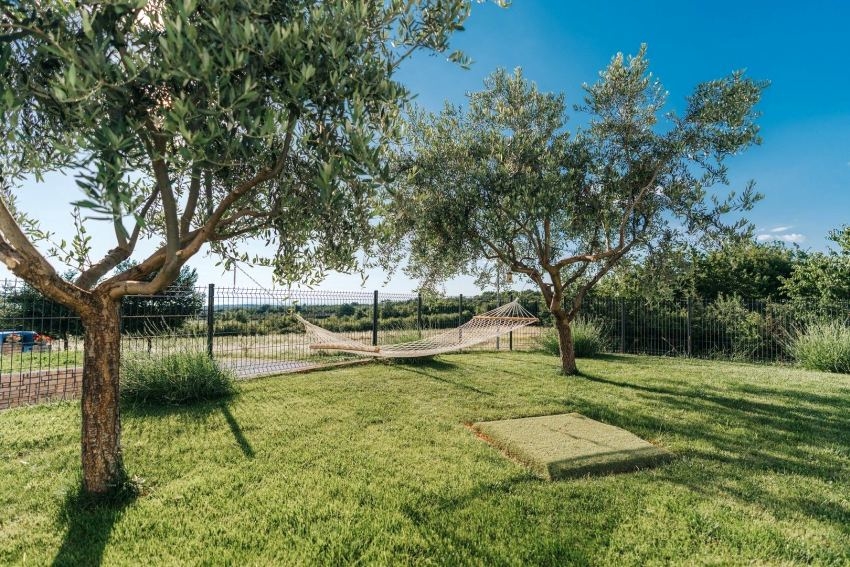 Amaca tra gli ulivi nel giardino recintato