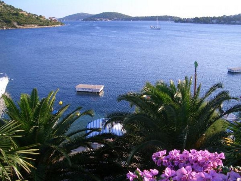 Bouganville in fiore e palme davanti alla baia con zattera per il bagno