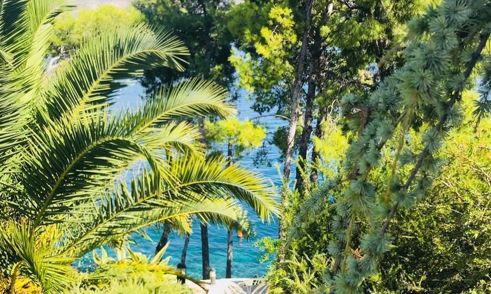 Foglie di palma e pini incorniciano la vista sull'acqua turchese