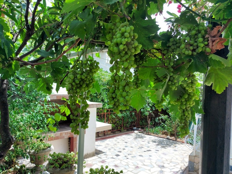 Area griglia nel giardino della casa