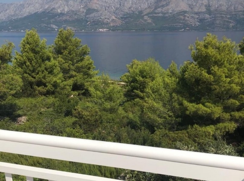 Vista sui pini, sullo stretto e sulle montagne