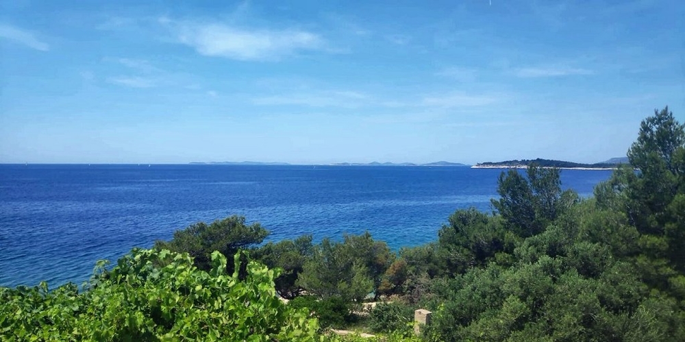 Pergolato di vite e pini con vista sulle isole nel mare aperto