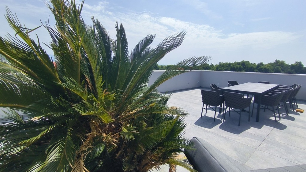 Terrazza sul tetto con zona salotto e palme