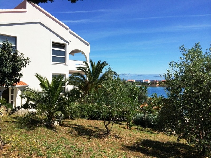 Villa sul mare sull'isola di Ugljan in vendita - Panorama Scouting Croazia.