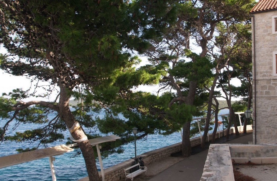 Pini sul lungomare con panchina e lampione