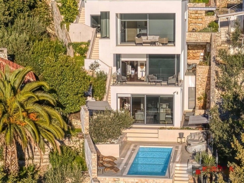Villa bianca con piscina e palma vista dall'alto