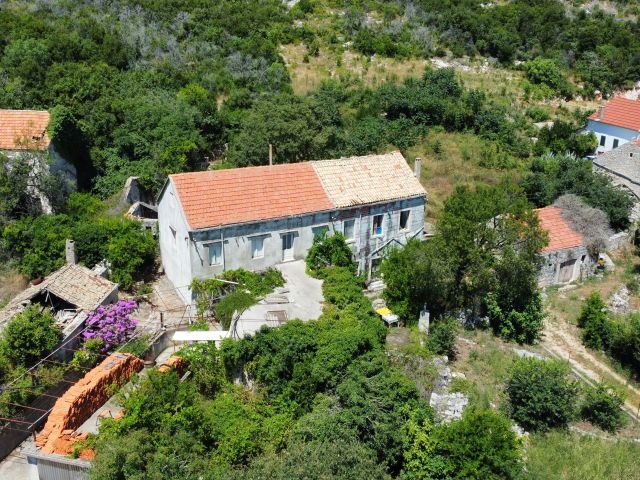 Vecchia casa in pietra con tetto di tegole tra il verde fitto