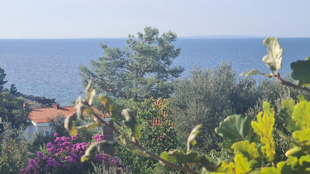 Casa plurifamiliare con vista mare - Panorama Scouting - H2810