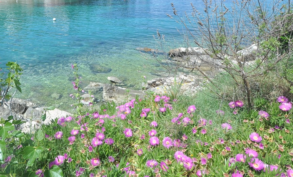 Idilliaco paesaggio sulla riva del mare vicino a una casa in Croazia, perfetto per l'acquisto.