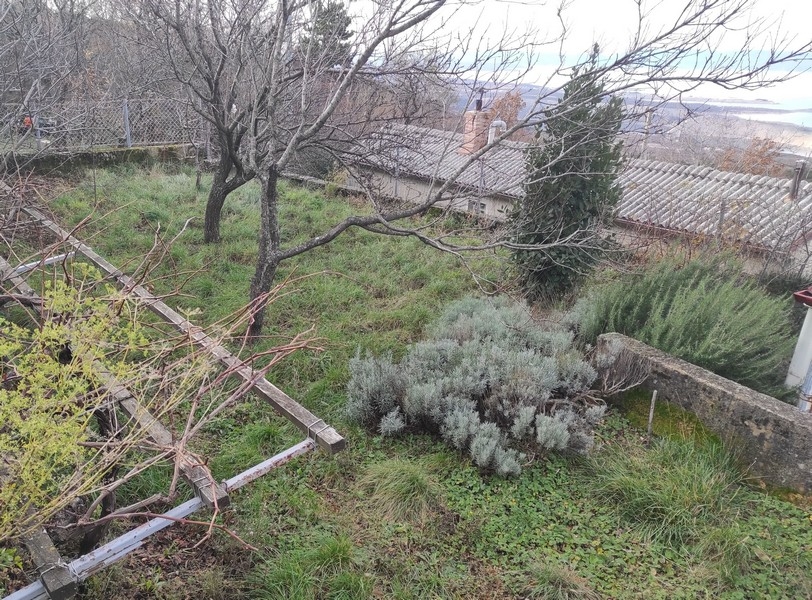 Ampio giardino con vista sul mare - immobili Croazia