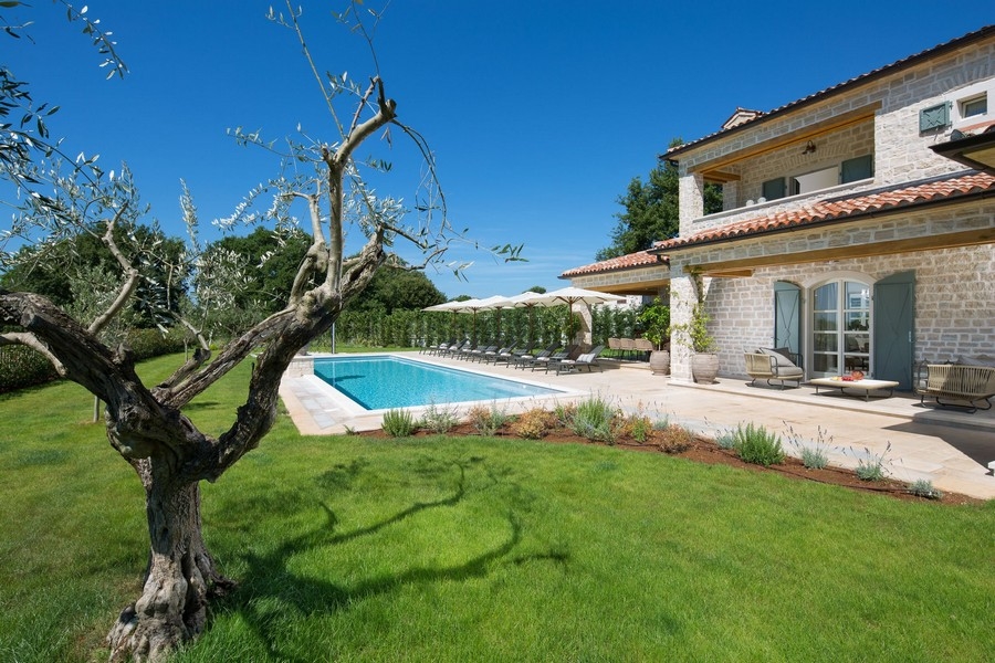 Villa con piscina e ulivo nel giardino a Kanfanar