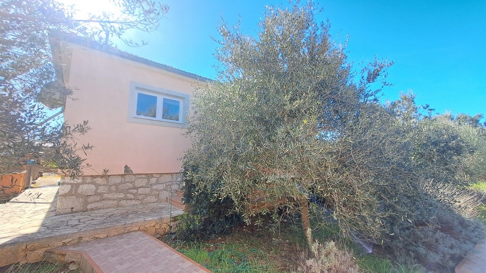 Giardino mediterraneo con ulivo davanti a un immobile sul mare in Croazia