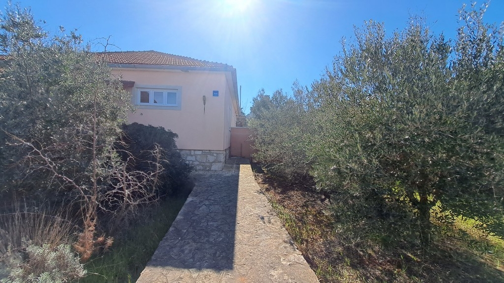 Sentiero verso l'ingresso di una casa con ulivi ai lati, immobile sul mare in Croazia