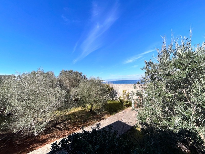 Vialetto del giardino soleggiato con vista mare, parte di un immobile sul mare in Croazia