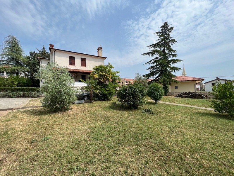 Casa con ulivo e palma sull'ampio prato