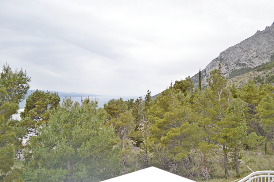 Vista dalla terrazza sui monti, sulla pineta e sul mare.