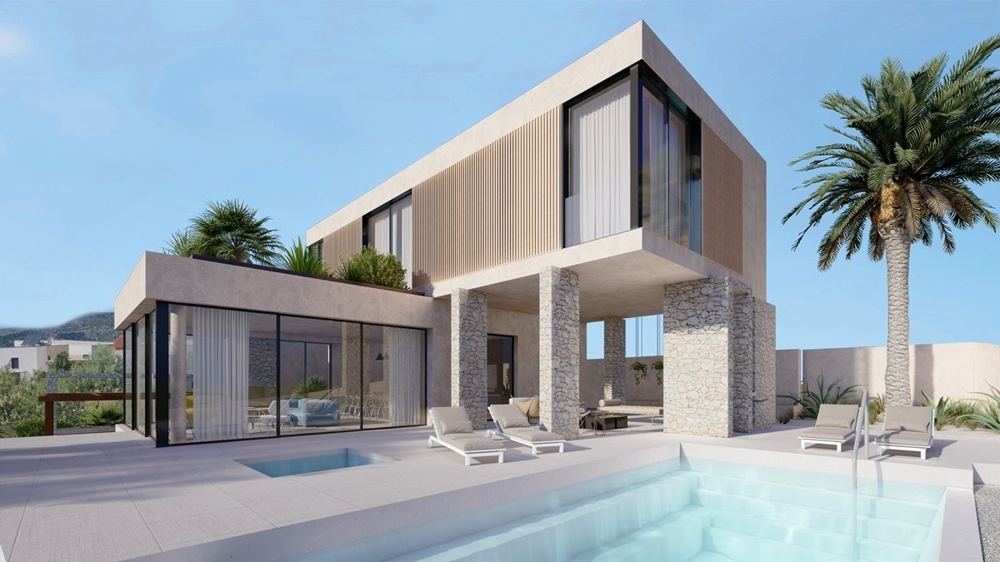 Visualizzazione della villa con palme e piscina su supporti in pietra