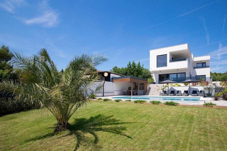 Villa con piscina e palma sull'ampio prato