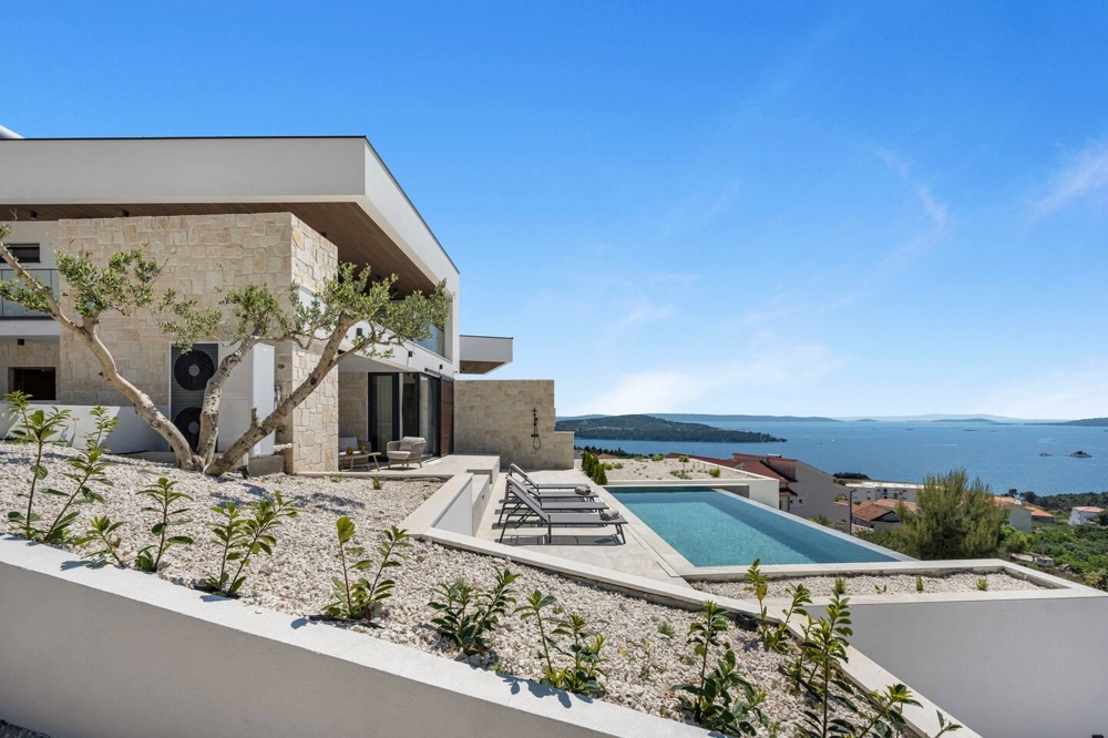 Ulivo davanti alla villa con piscina e vista sulla baia