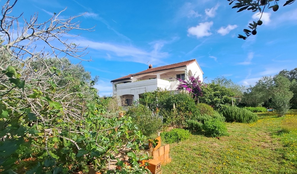 Casa bianca con buganvillea nel giardino incolto