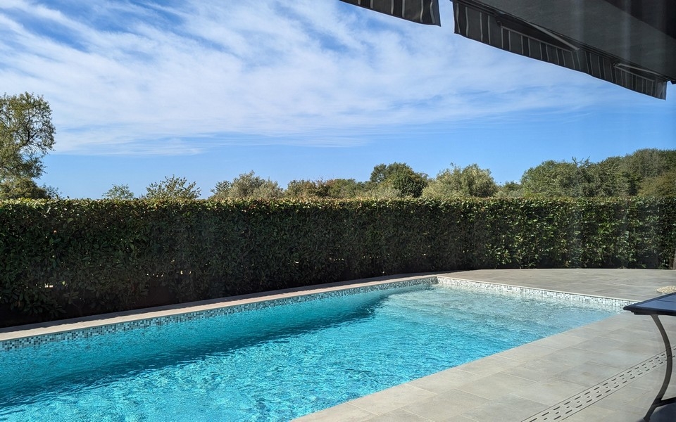 Piscina dietro l'alta siepe sotto il cielo azzurro