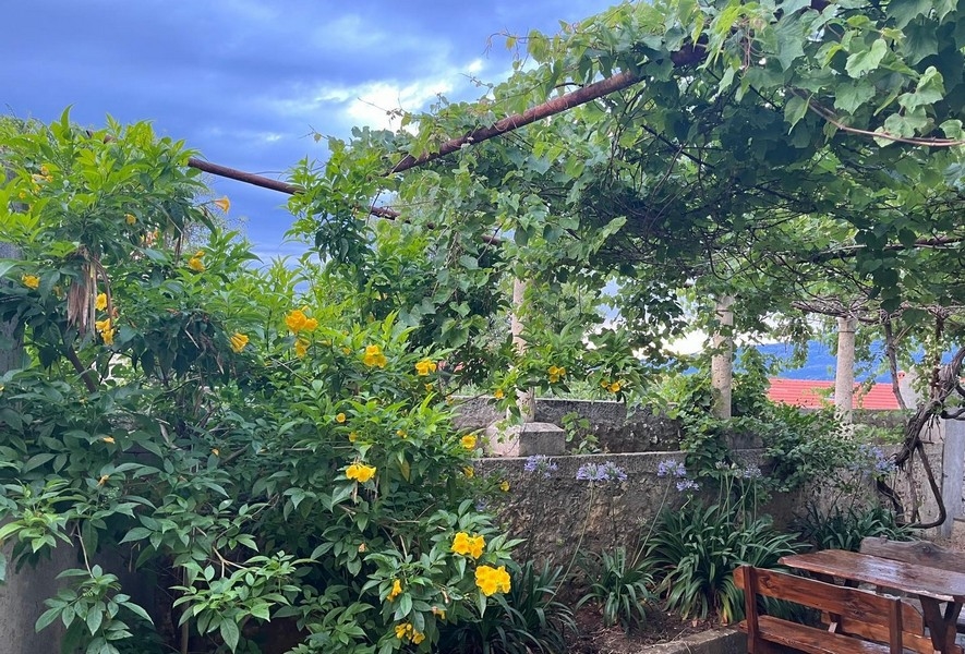 Terrazza coperta con tralci di vite e giardino