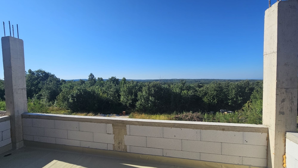 Vista sul verde.