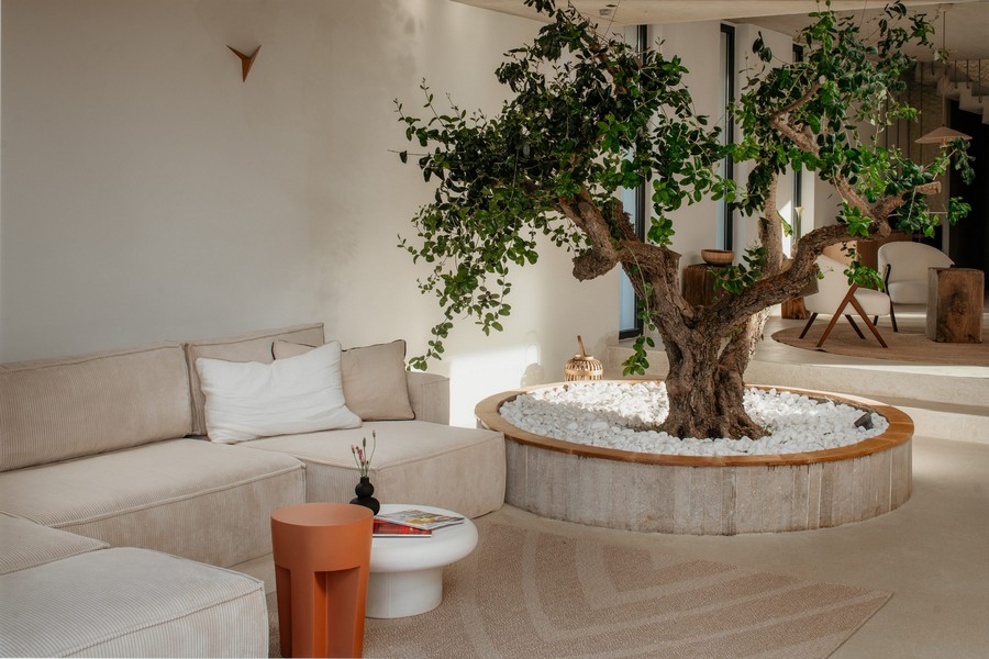Zona giorno con albero integrato e arredamento chiaro