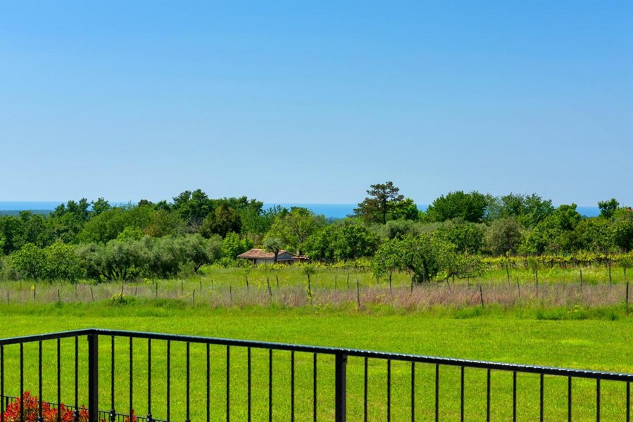 Vista sul verde con il mare sullo sfondo