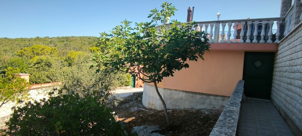Area giardino con albero e accesso alla casa