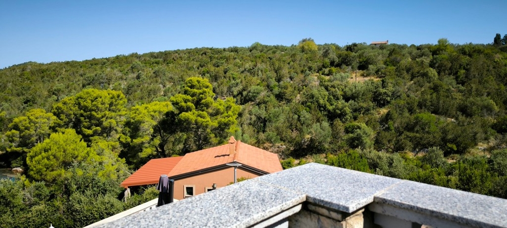 Vista sulle colline verdi dalla terrazza