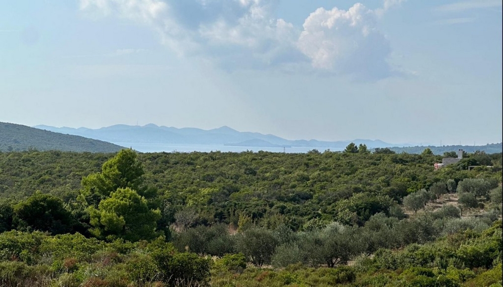 Vista sul mare e sull'ambiente mediterraneo circostante la villa H3691.