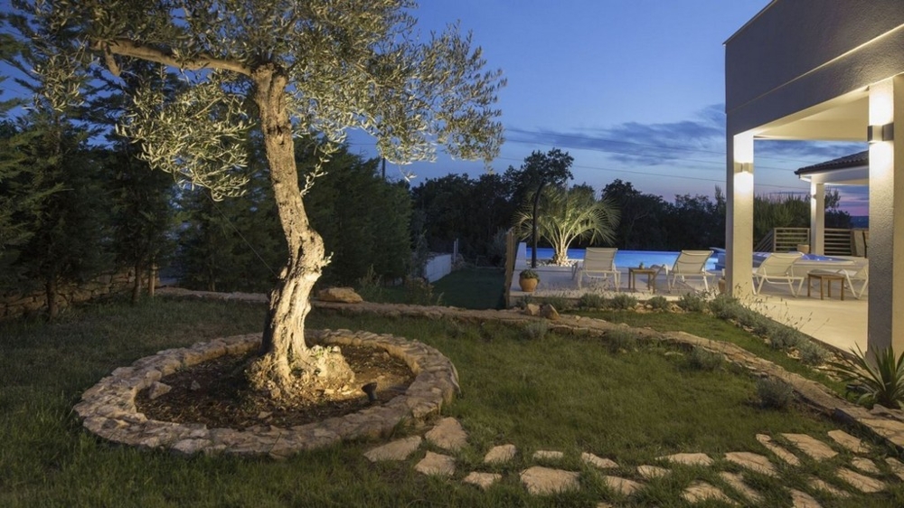 Giardino con ulivo illuminato e vista sulla piscina la sera